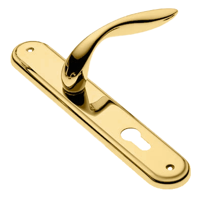 Ручка дверная на планке LEON PL OTL, цвет золото, латунь фото купить в Москве