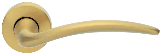 FRANCY R3-E OSA, ручка дверная, цвет - матовое золото фото #1